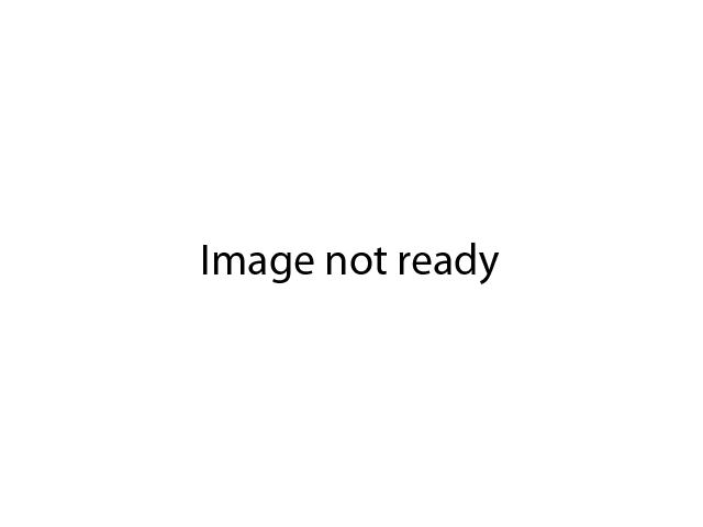 Fundacja GEOLIFE